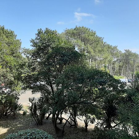 Studio Cosy Proche Ocean Et Commerces, Parfait Pour Des Vacances A Deux! - Fr-1-239-437 Seignosse Exterior foto